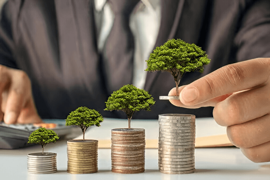 Empowering Structsight with a Real-Time Investment Platform